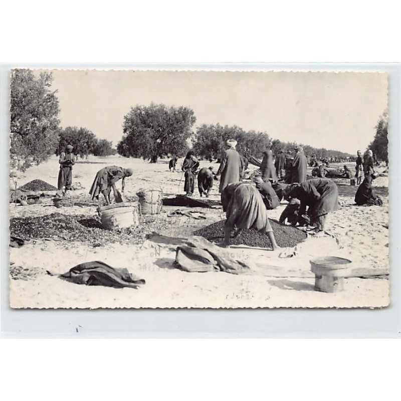 Rare collectable postcards of TUNISIA. Vintage Postcards of TUNISIA