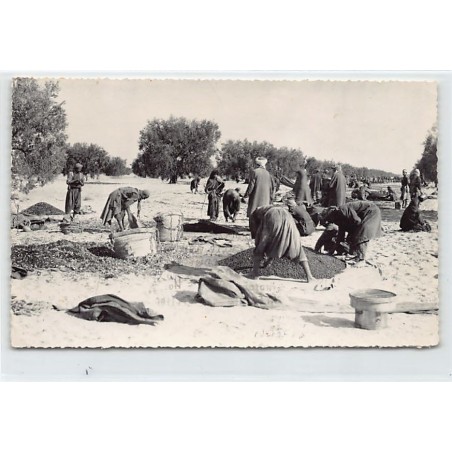 Rare collectable postcards of TUNISIA. Vintage Postcards of TUNISIA