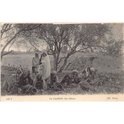 Rare collectable postcards of TUNISIA. Vintage Postcards of TUNISIA