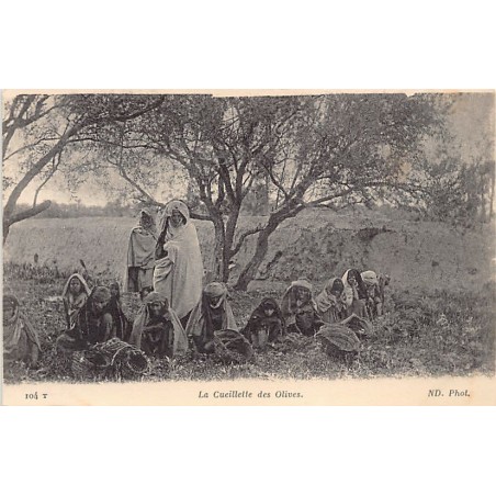 Rare collectable postcards of TUNISIA. Vintage Postcards of TUNISIA