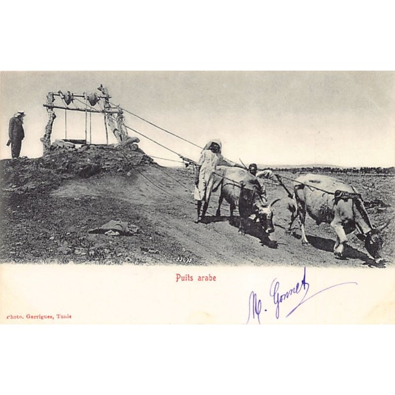 Rare collectable postcards of TUNISIA. Vintage Postcards of TUNISIA