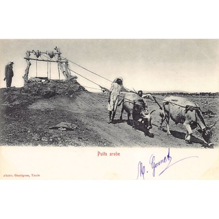 Rare collectable postcards of TUNISIA. Vintage Postcards of TUNISIA