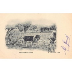 Rare collectable postcards of TUNISIA. Vintage Postcards of TUNISIA