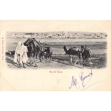 Rare collectable postcards of TUNISIA. Vintage Postcards of TUNISIA