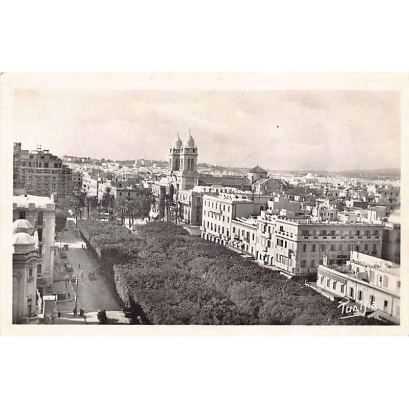 Rare collectable postcards of TUNISIA. Vintage Postcards of TUNISIA