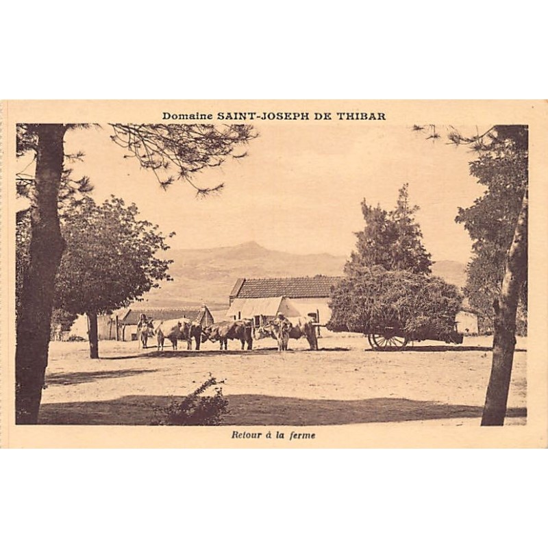 Rare collectable postcards of TUNISIA. Vintage Postcards of TUNISIA