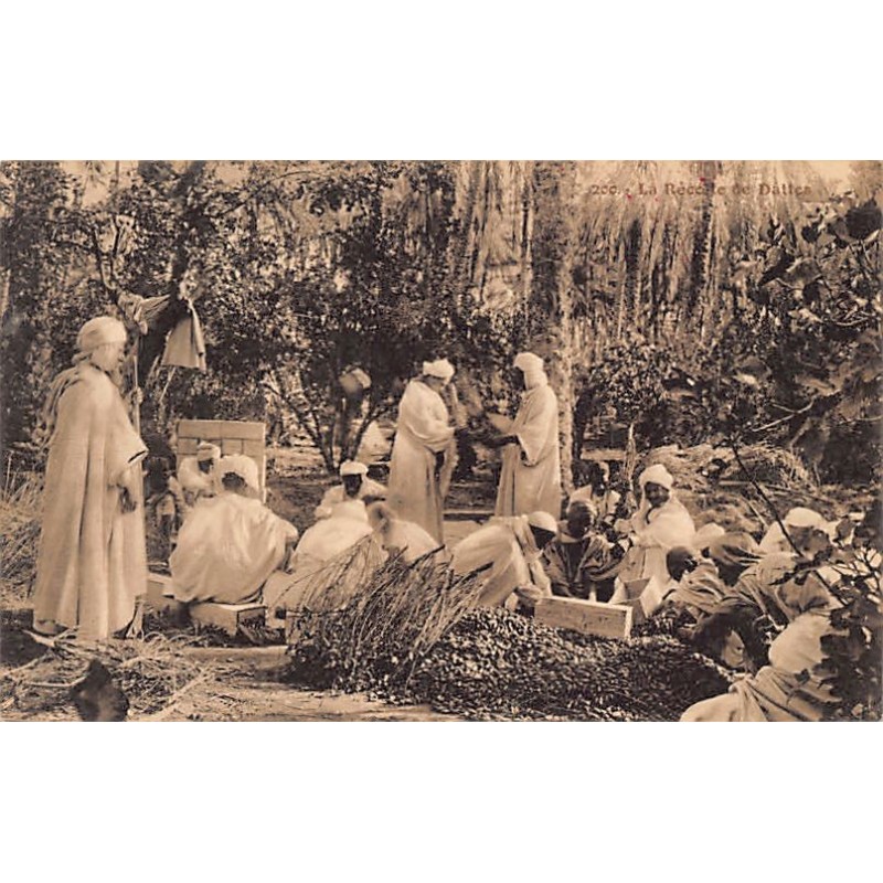 Rare collectable postcards of TUNISIA. Vintage Postcards of TUNISIA