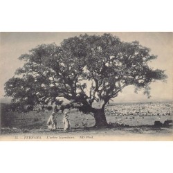 Rare collectable postcards of TUNISIA. Vintage Postcards of TUNISIA