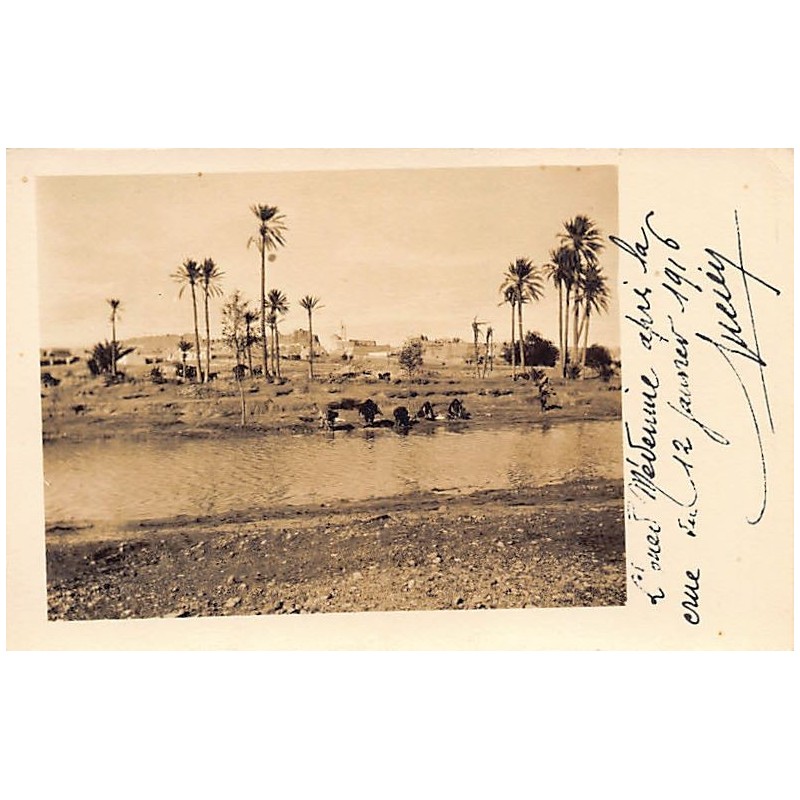 Rare collectable postcards of TUNISIA. Vintage Postcards of TUNISIA