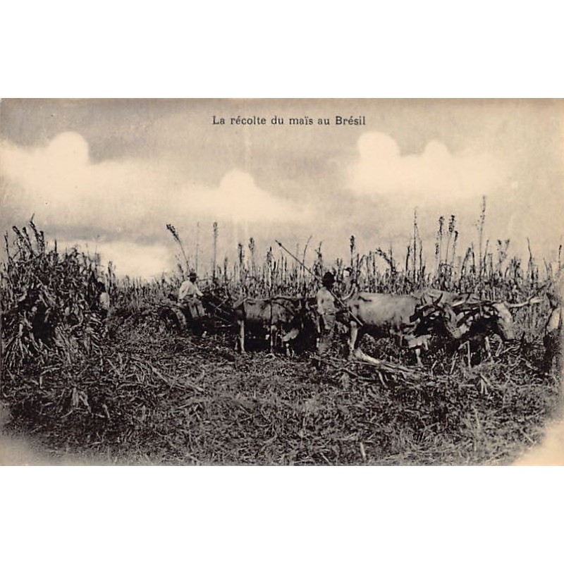 Rare collectable postcards of BRAZIL. Vintage Postcards of BRAZIL