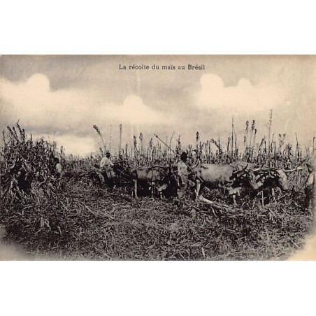 Rare collectable postcards of BRAZIL. Vintage Postcards of BRAZIL