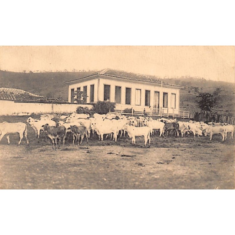 Rare collectable postcards of BRAZIL. Vintage Postcards of BRAZIL