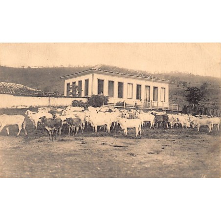 Rare collectable postcards of BRAZIL. Vintage Postcards of BRAZIL