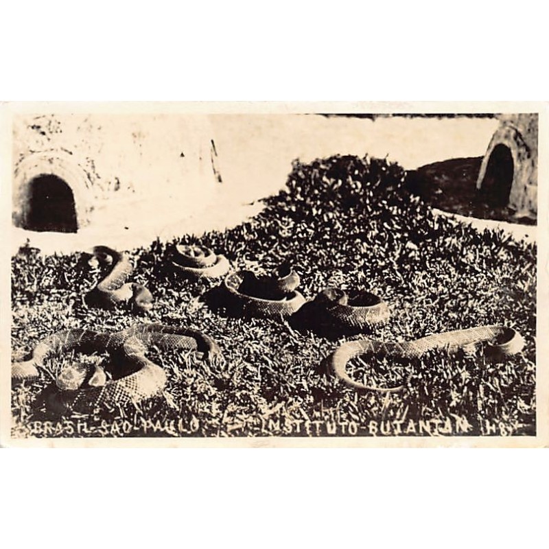 Rare collectable postcards of BRAZIL. Vintage Postcards of BRAZIL