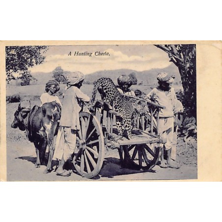 Rare collectable postcards of INDIA. Vintage Postcards of INDIA