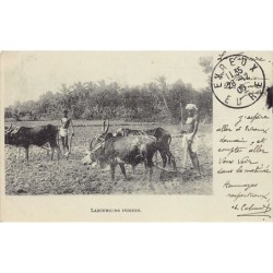 Rare collectable postcards of INDIA. Vintage Postcards of INDIA