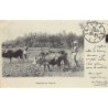 Rare collectable postcards of INDIA. Vintage Postcards of INDIA