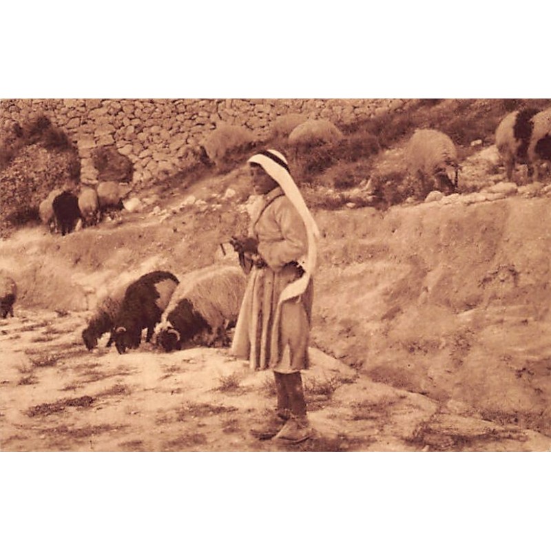 Rare collectable postcards of ISRAEL & PALESTINE. Vintage Postcards of ISRAEL & PALESTINE