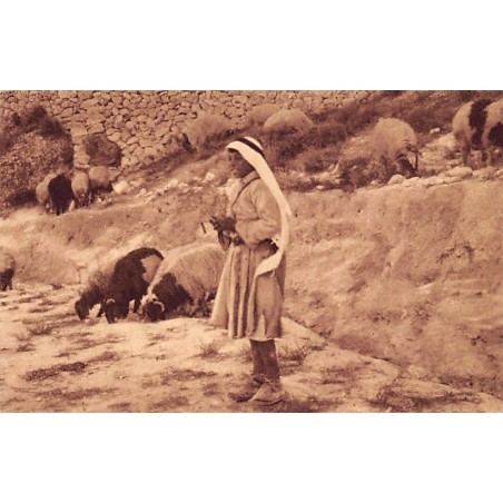 Rare collectable postcards of ISRAEL & PALESTINE. Vintage Postcards of ISRAEL & PALESTINE