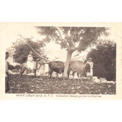 Rare collectable postcards of LEBANON. Vintage Postcards of LEBANON