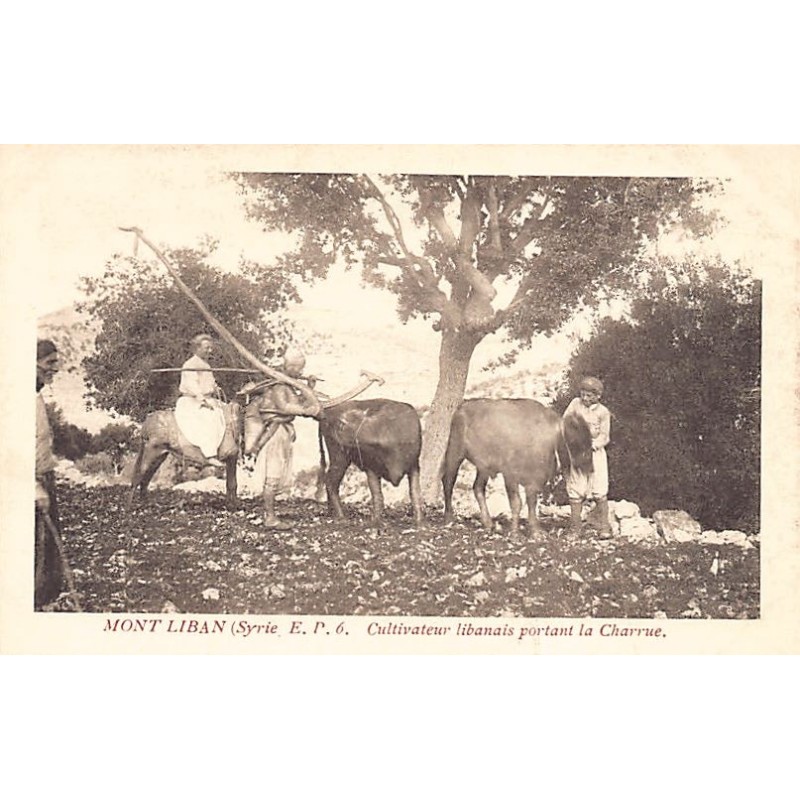 Rare collectable postcards of LEBANON. Vintage Postcards of LEBANON