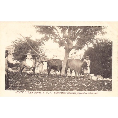 Rare collectable postcards of LEBANON. Vintage Postcards of LEBANON