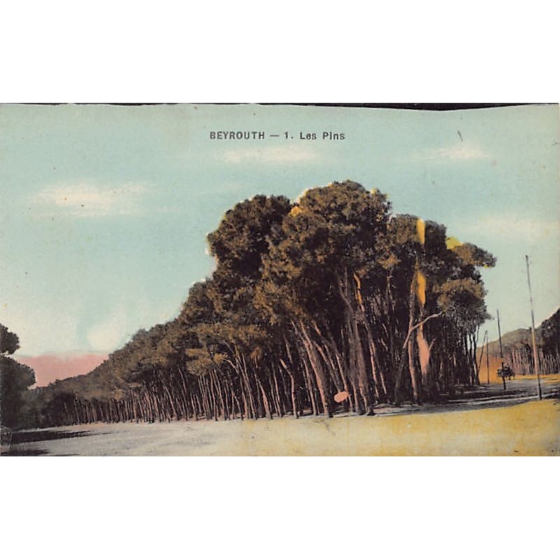 Rare collectable postcards of LEBANON. Vintage Postcards of LEBANON