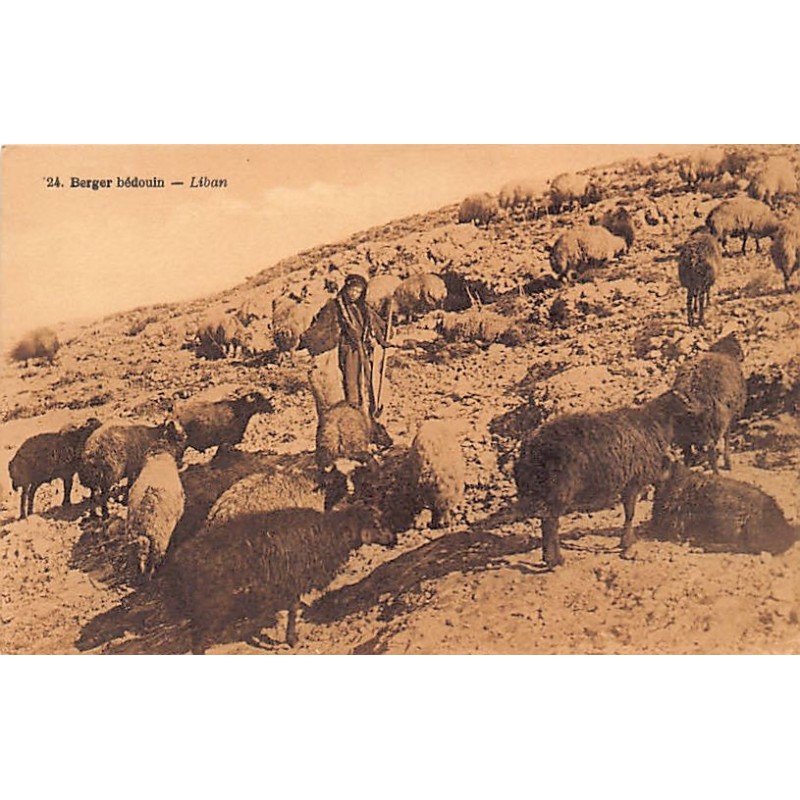 Rare collectable postcards of LEBANON. Vintage Postcards of LEBANON