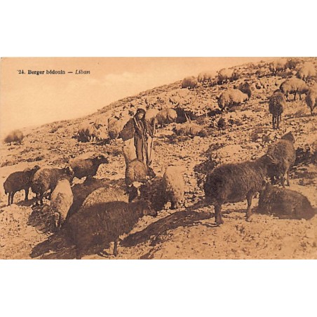 Rare collectable postcards of LEBANON. Vintage Postcards of LEBANON
