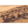 Rare collectable postcards of LEBANON. Vintage Postcards of LEBANON