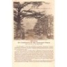 Rare collectable postcards of LEBANON. Vintage Postcards of LEBANON