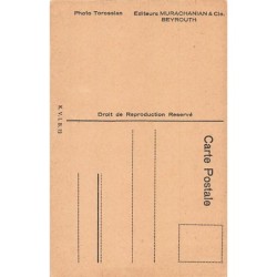 Rare collectable postcards of LEBANON. Vintage Postcards of LEBANON