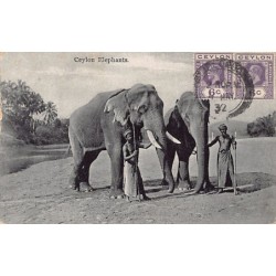 Rare collectable postcards of SRI LANKA. Vintage Postcards of SRI LANKA