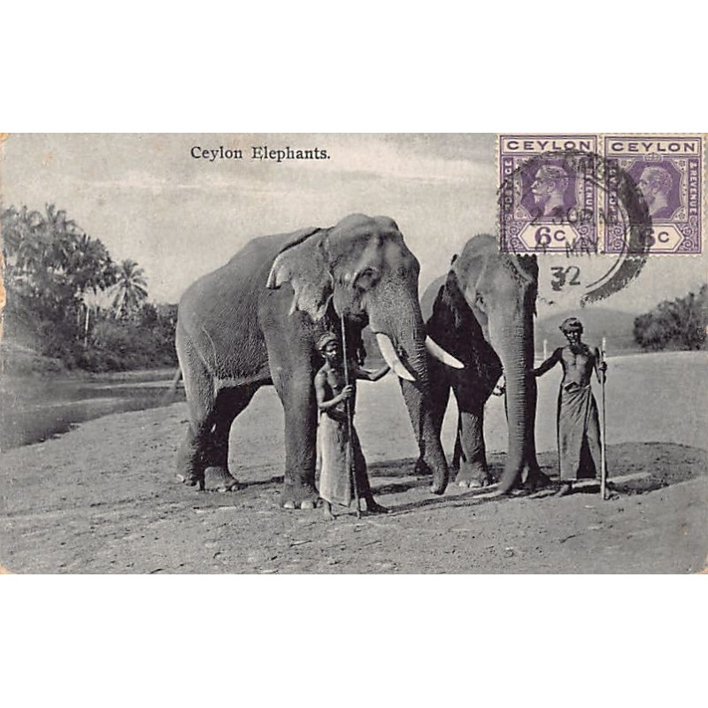Rare collectable postcards of SRI LANKA. Vintage Postcards of SRI LANKA