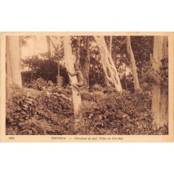 Rare collectable postcards of VIET-NAM. Vintage Postcards of VIET-NAM