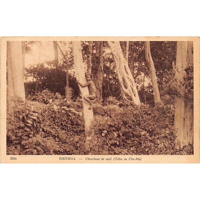 Rare collectable postcards of VIET-NAM. Vintage Postcards of VIET-NAM