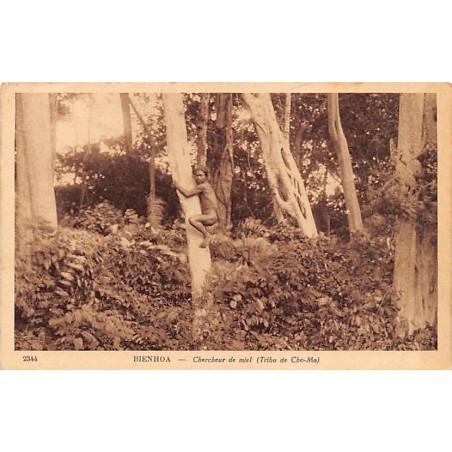 Rare collectable postcards of VIET-NAM. Vintage Postcards of VIET-NAM