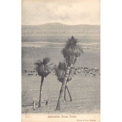 Rare collectable postcards of AUSTRALIA. Vintage Postcards of AUSTRALIA