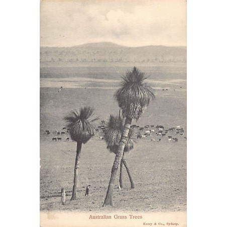 Rare collectable postcards of AUSTRALIA. Vintage Postcards of AUSTRALIA