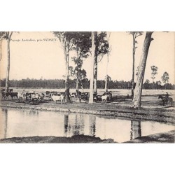 Rare collectable postcards of AUSTRALIA. Vintage Postcards of AUSTRALIA