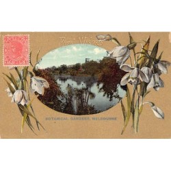 Rare collectable postcards of AUSTRALIA. Vintage Postcards of AUSTRALIA