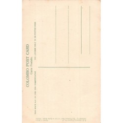 Rare collectable postcards of ETHNIC NUDE. Vintage Postcards of ETHNIC NUDE