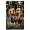 Rare collectable postcards of ETHNIC NUDE. Vintage Postcards of ETHNIC NUDE