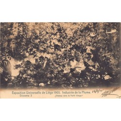 Rare collectable postcards of BELGIUM Belgique België. Vintage Postcards of BELGIUM Belgique België