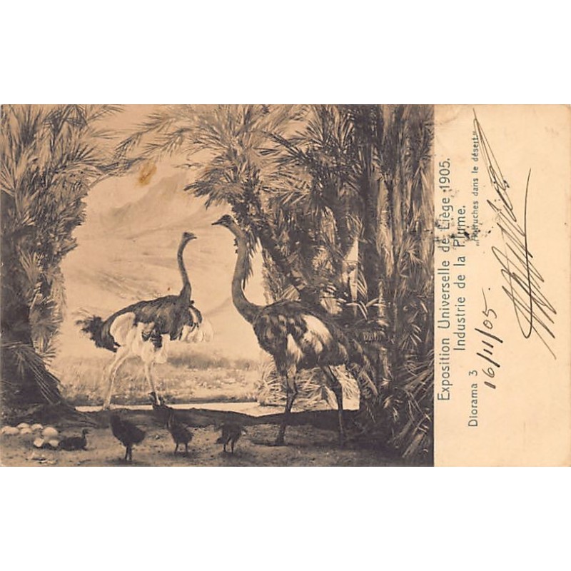 Rare collectable postcards of BELGIUM Belgique België. Vintage Postcards of BELGIUM Belgique België