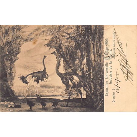 Rare collectable postcards of BELGIUM Belgique België. Vintage Postcards of BELGIUM Belgique België