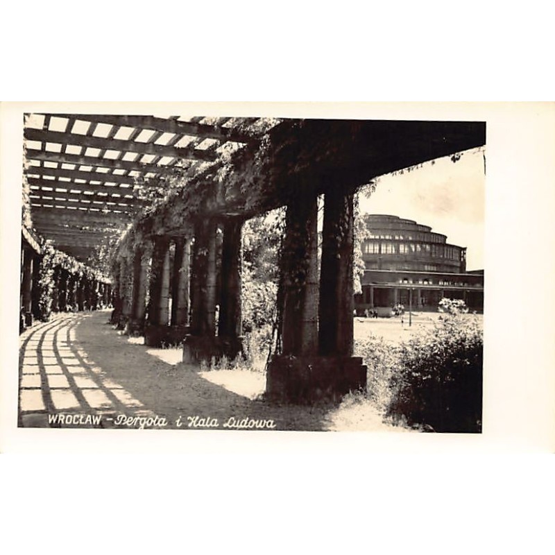 Rare collectable postcards of POLAND. Vintage Postcards of POLAND