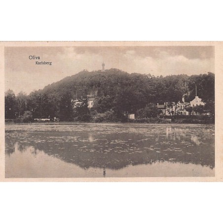 Rare collectable postcards of POLAND. Vintage Postcards of POLAND