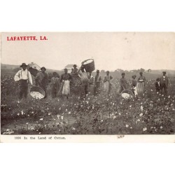 Rare collectable postcards of UNITED STATES OF AMERICA. Vintage Postcards of UNITED STATES OF AMERICA