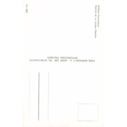 Rare collectable postcards of VENEZUELA. Vintage Postcards of VENEZUELA